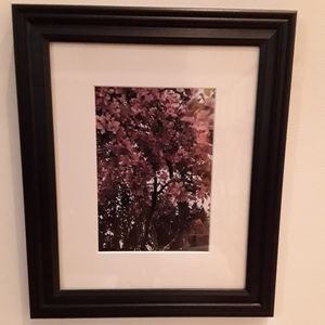 Artisan One of a Kind Photo